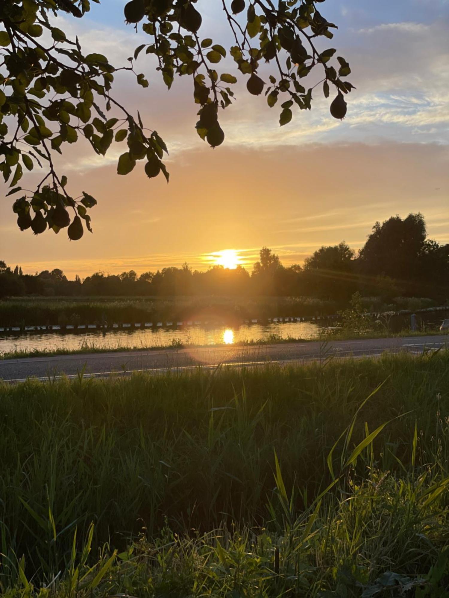 The Riverside Logies & Restaurant Maarssen Exteriör bild